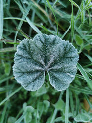 Októberi fagyos vasárnap