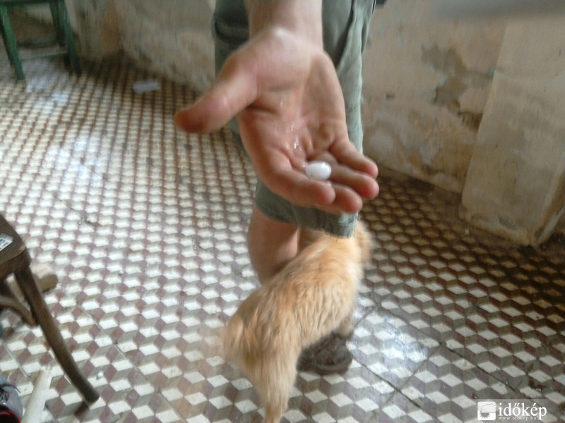 Észlelési fényképek