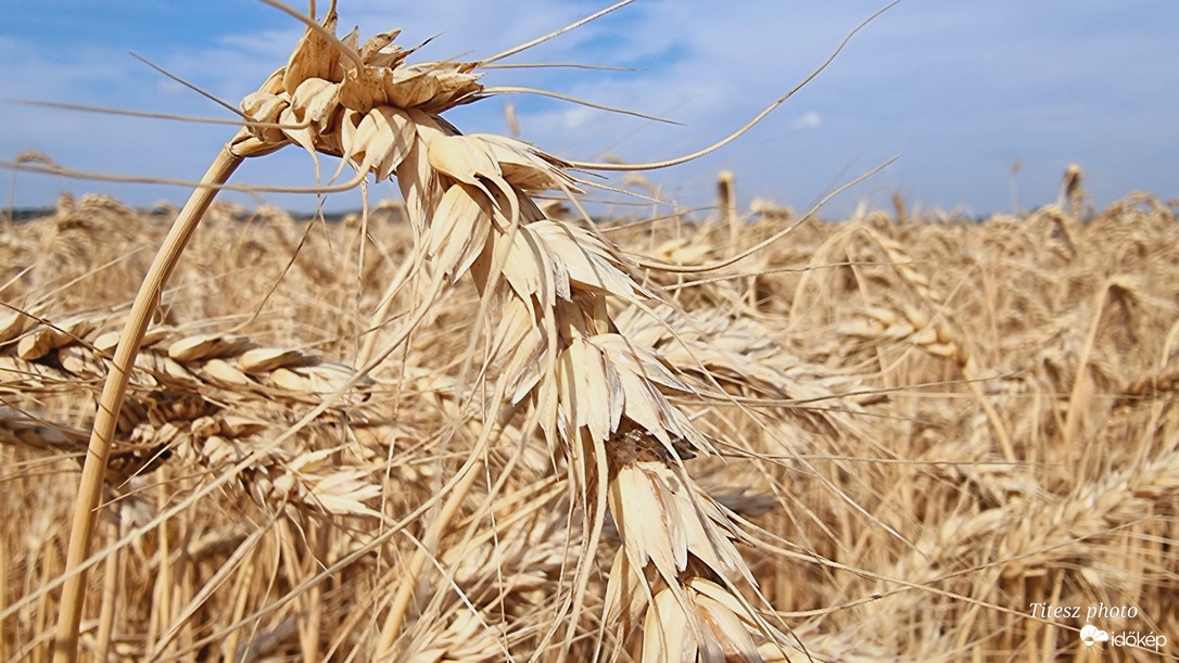 egy kicsit közelebbről 