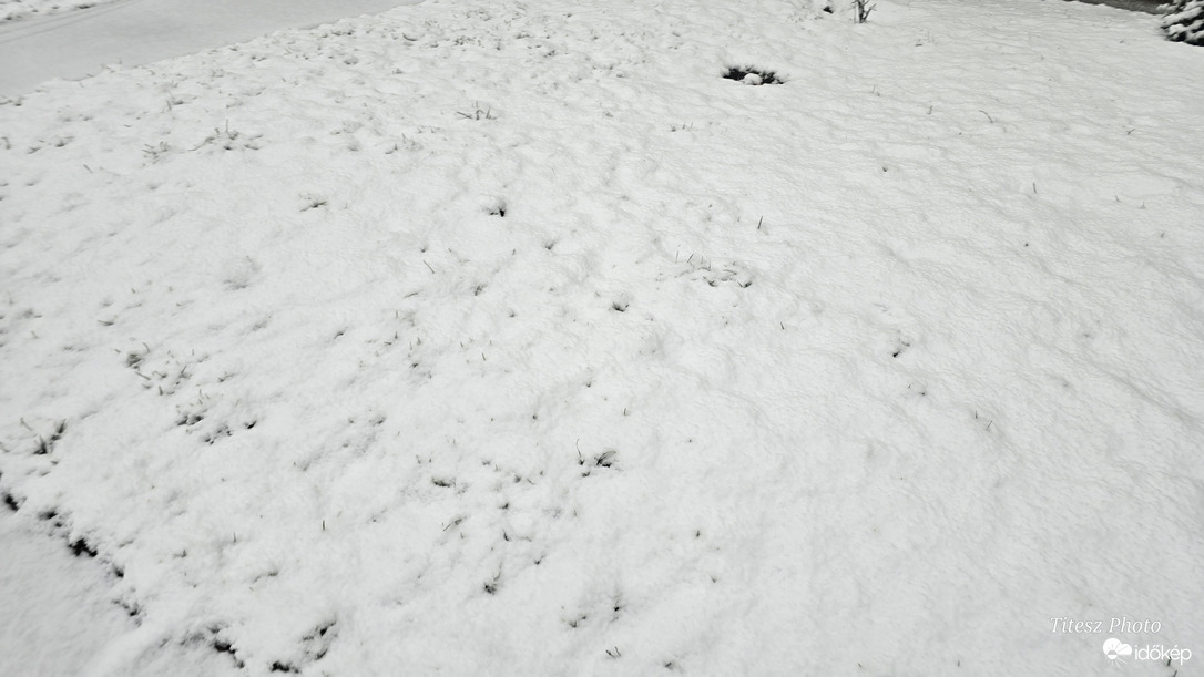 Észlelési fényképek