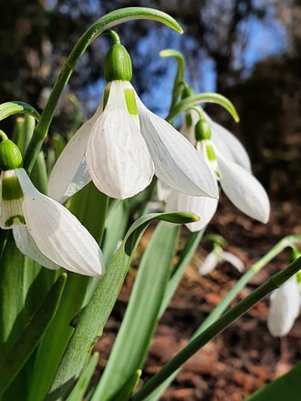 Végre napsütésben