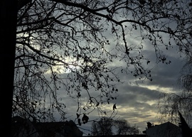 Kezdett derülni délután (Békéscsaba)