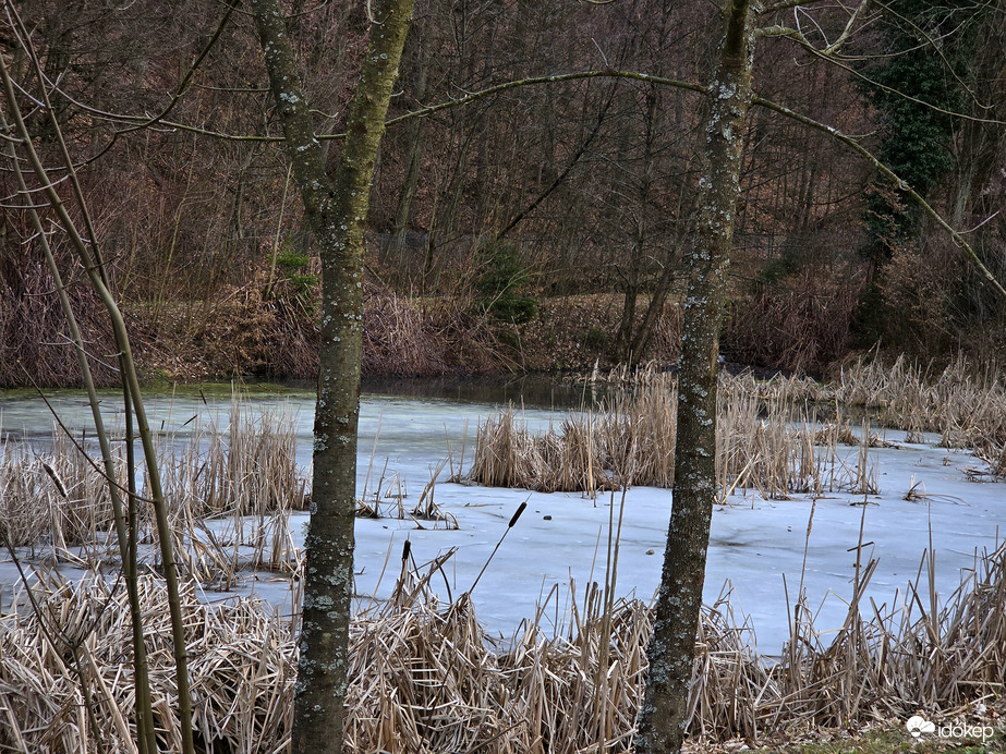 Félig befagyott tó ma délután