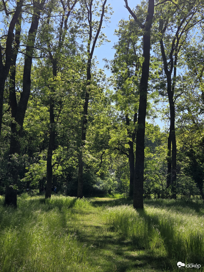 Tavasz