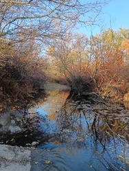 Őszi lombos Tarna az északi zúgónál