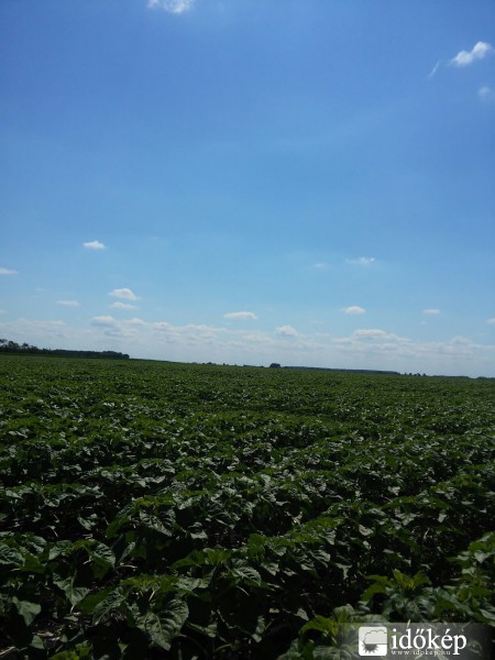 Észlelési fényképek