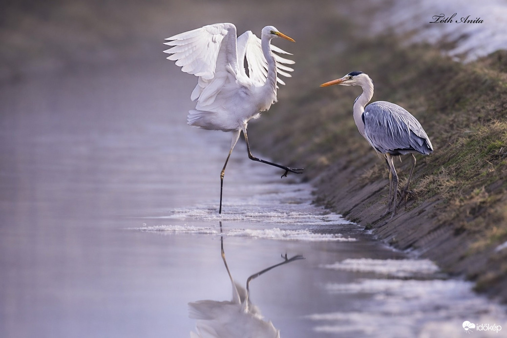 Hódmezővásárhely