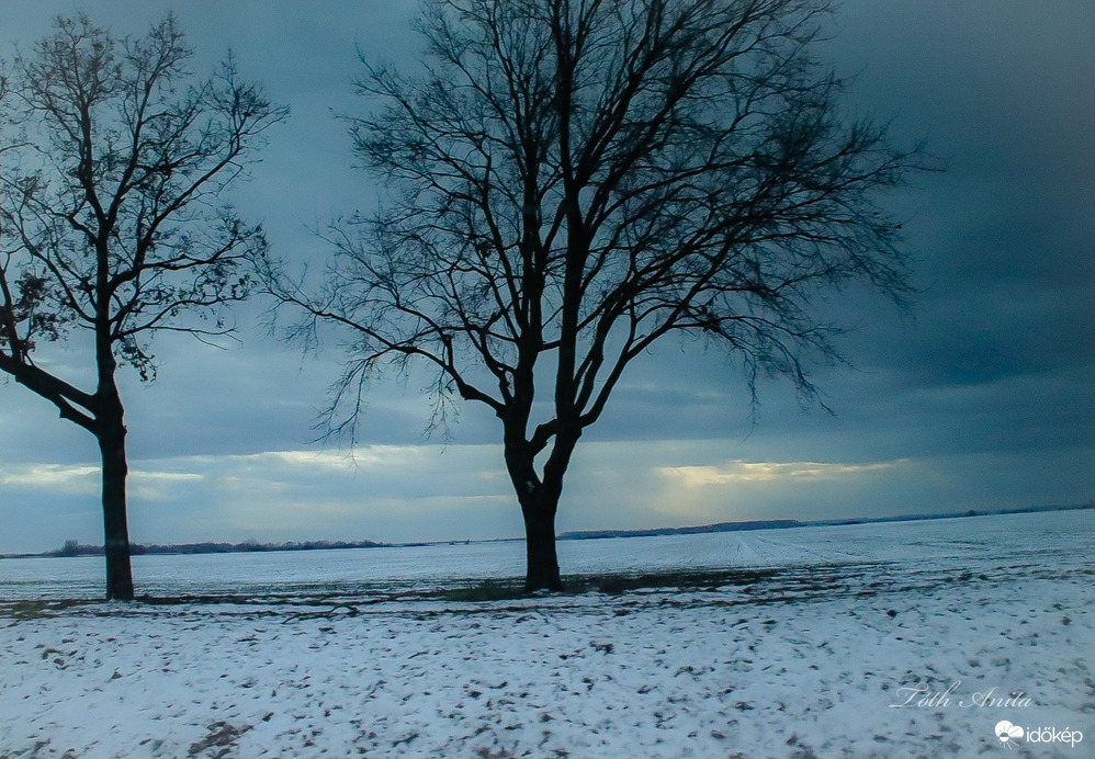 Észlelési fényképek