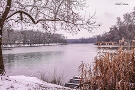 Hódmezővásárhely