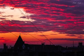 Hódmezővásárhely