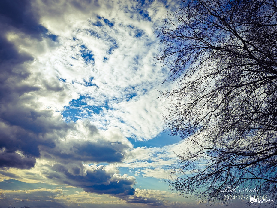 Észlelési fényképek