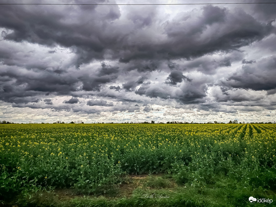 Észlelési fényképek