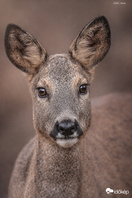 Közeli találkozás 