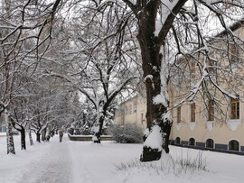 Jánoshalma - havas téli képek 