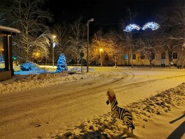 Jánoshalma - havas téli képek