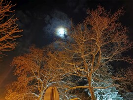 Jánoshalma - havas téli képek