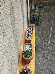 Budapest III.ker - Óbuda