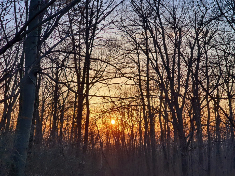 Budapest XII.ker - Normafa