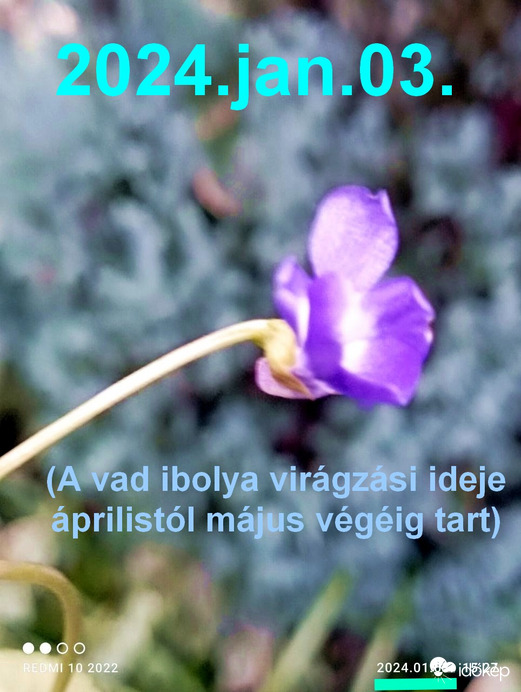 Észlelési fényképek