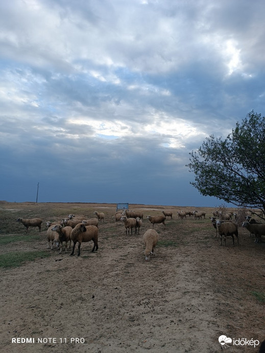 Остојићево