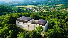 Oroszlány