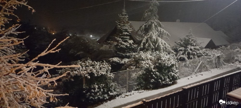 Észlelési fényképek