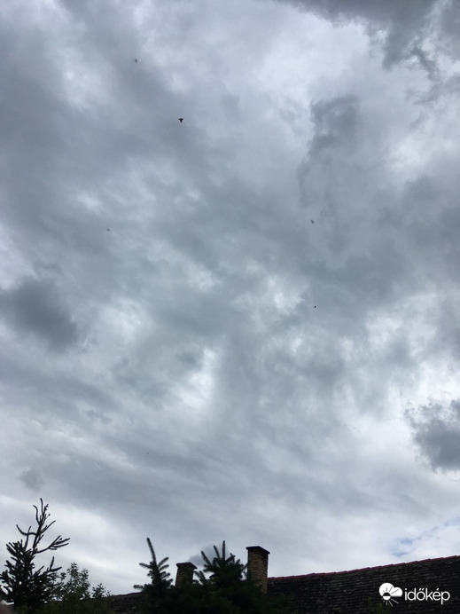 Észlelési fényképek