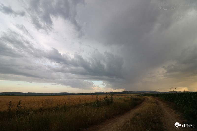 Észlelési fényképek