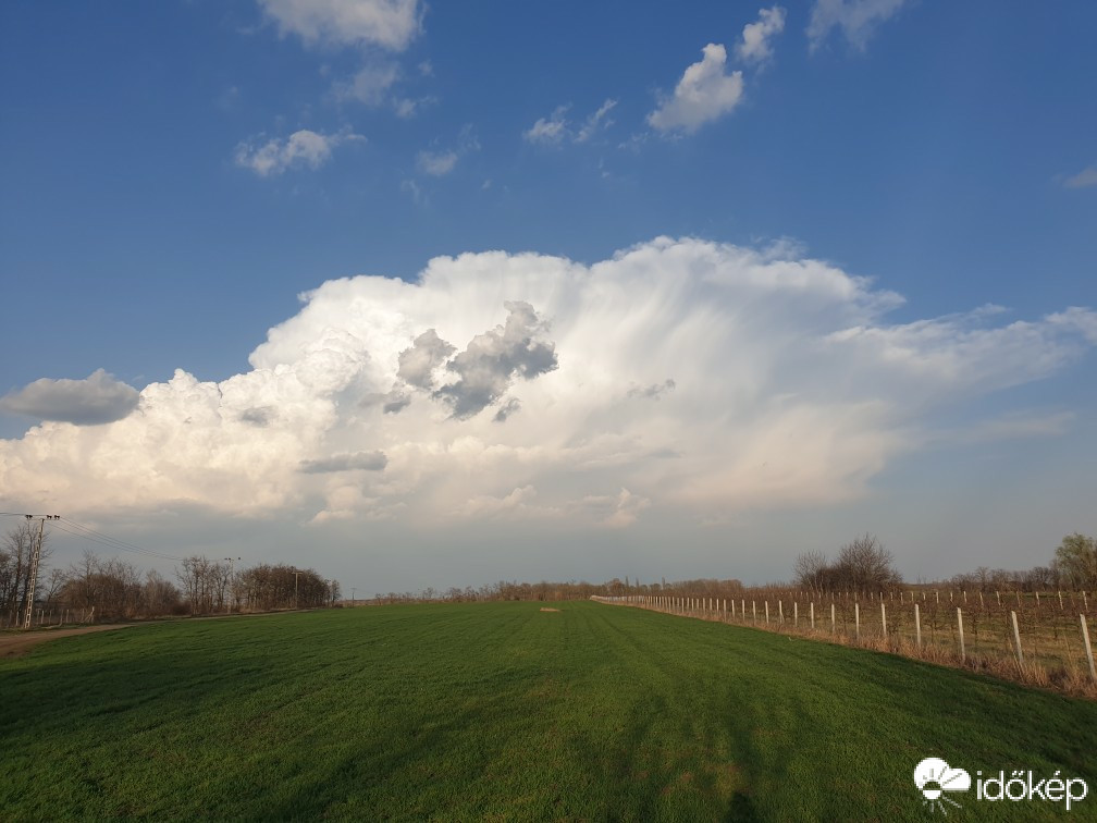 Észlelési fényképek