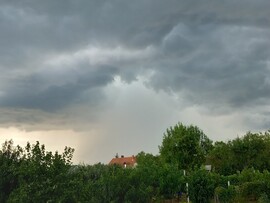 Révfülöp