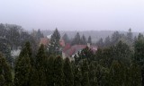 Sopron