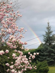 tothmartonandras fotója