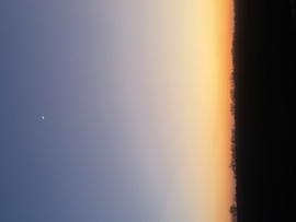 tothmartonandras fotója