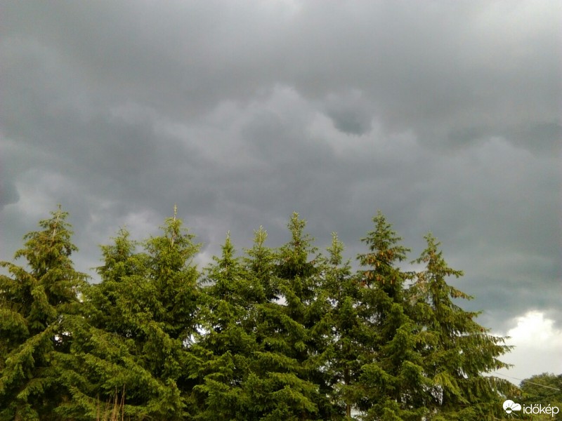 Észlelési fényképek