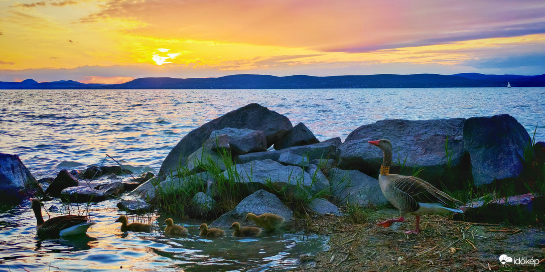 Balaton
