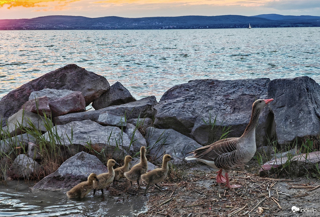Balaton