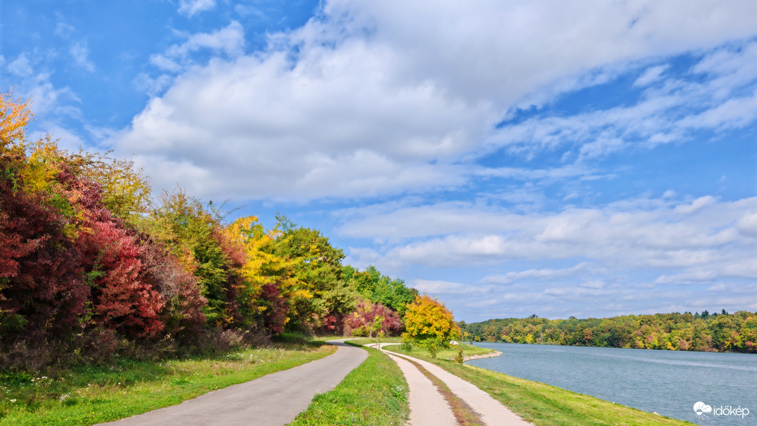 Színes ruhát öltött... 