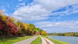 Színes ruhát öltött... 