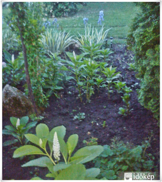 Észlelési fényképek