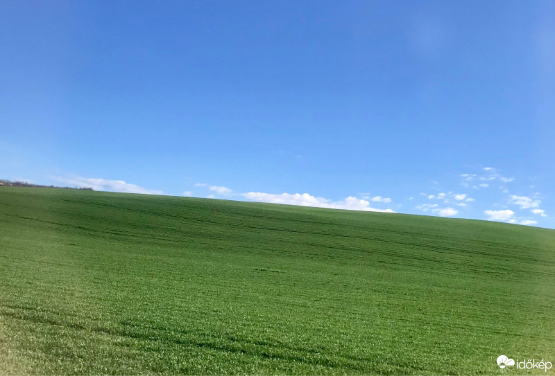 Észlelési fényképek