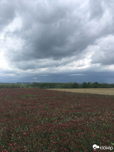 Észlelési fényképek