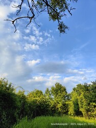 Szurdokpüspöki