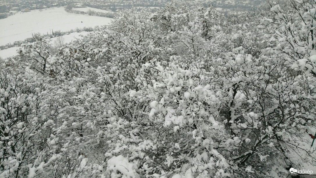 Észlelési fényképek