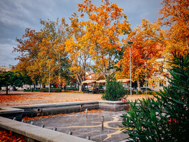 turieszter_91 fotója