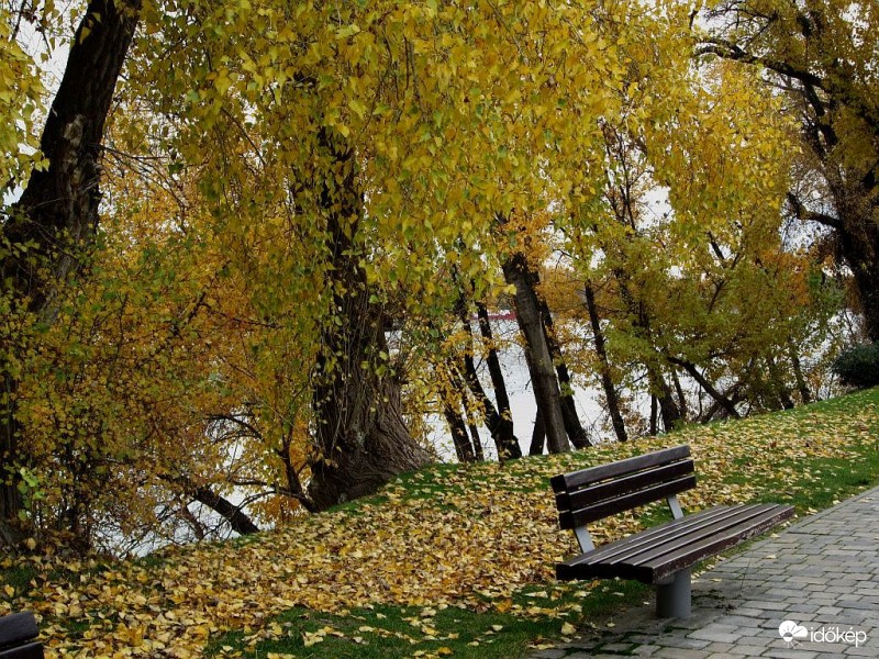 Az utolsó őszi pillanatok..