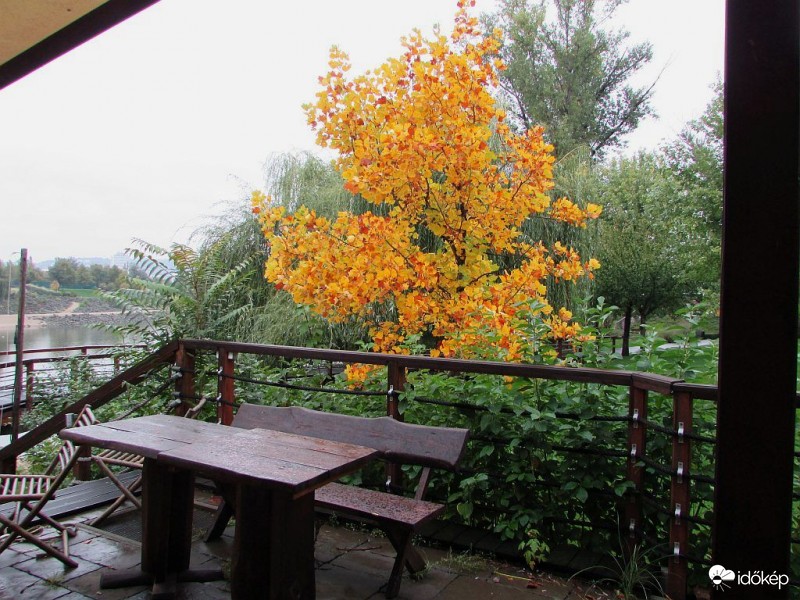 Egy borongós őszi nap..1