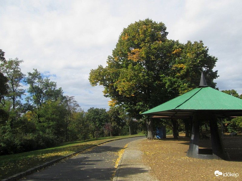 Egyre több a sárga..