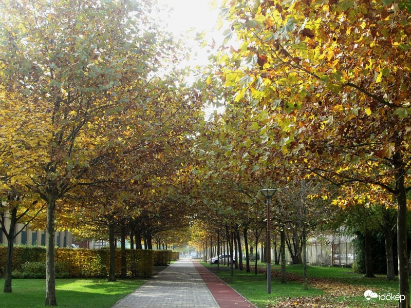 Itt még futópálya is van...