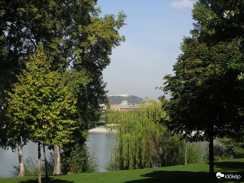 Kilátás a zöldből..