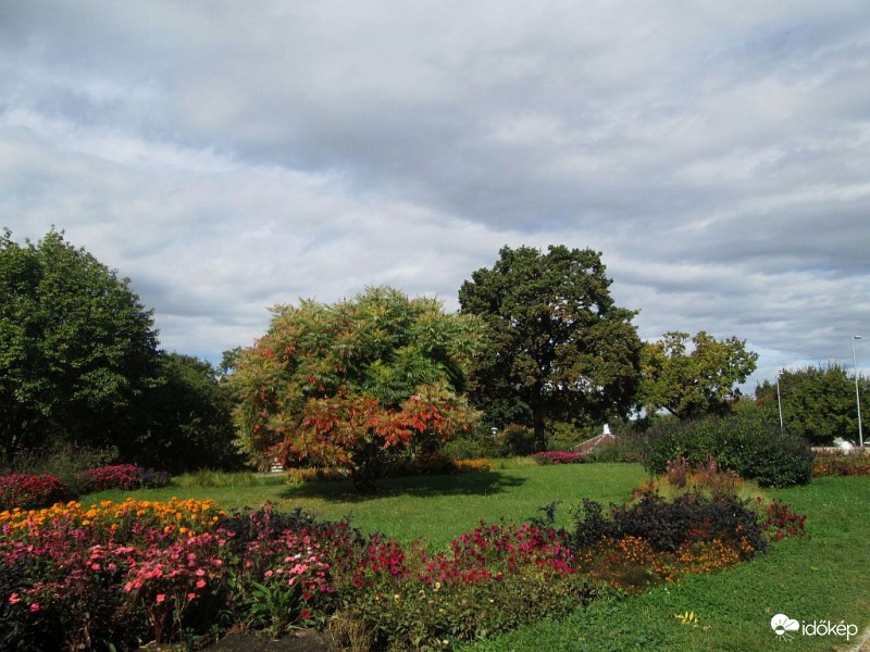 Még virágos a park..